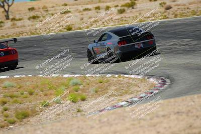 media/May-07-2022-Cobra Owners Club of America (Sat) [[e681d2ddb7]]/Blue/Session 2 (Turn 1 and Front Straight)/